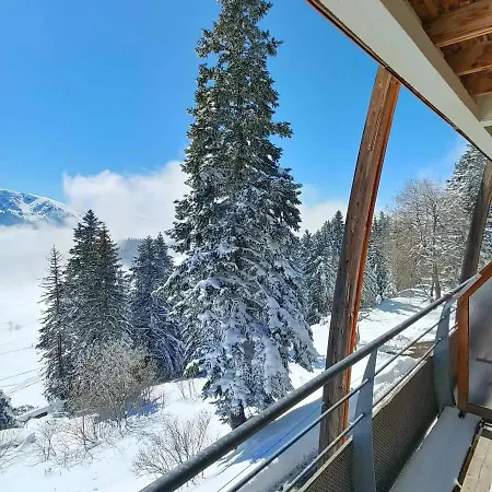 1700 - Silenes C32, Classe 3 Etoiles, Avec Vue Sur Les Montagnes - Apartment Chamrousse
