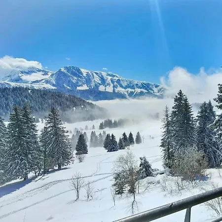 1700 - Silenes C32, Classe 3 Etoiles, Avec Vue Sur Les Montagnes - Apartment Chamrousse